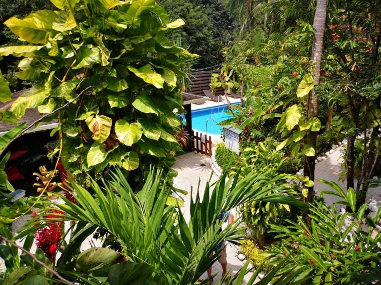 Piscina exterior rodeada de jardín tropical exuberante en Hotel Belvedere Playa Samara Costa Rica