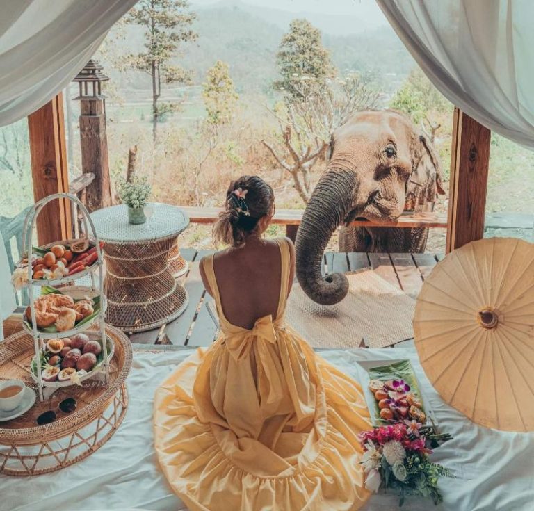 Mujer con vestido amarillo desayunando junto a un elefante en la terraza del Chai Lai Orchid