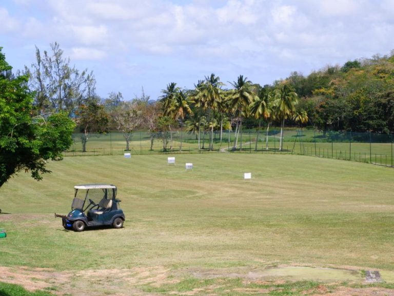 Campo de golf con carrito eléctrico y palmeras tropicales en The Bahi Villa Adults Only