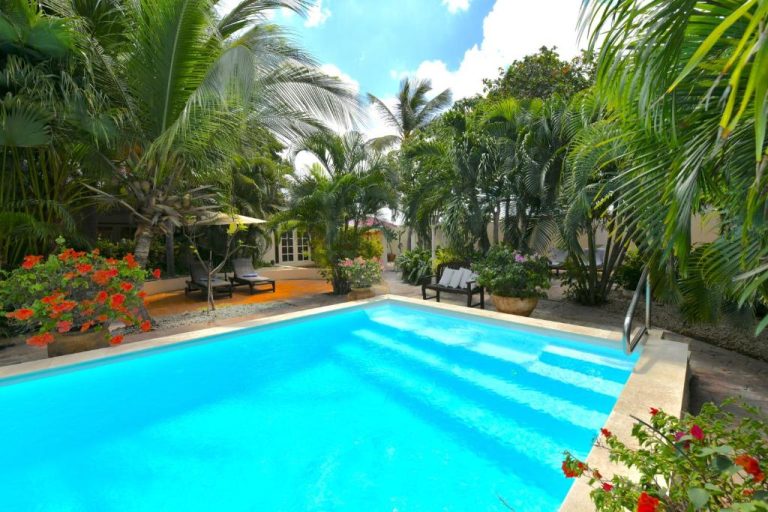 Piscina exterior rodeada de palmeras y jardín tropical en Wonders Boutique Hotel