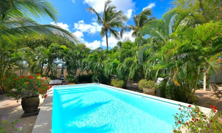 Piscina exterior rodeada de palmeras y jardín tropical en Wonders Boutique Hotel