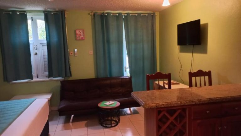 Sala de estar con sofá de cuero, cocina americana y TV en Beach Studio 9