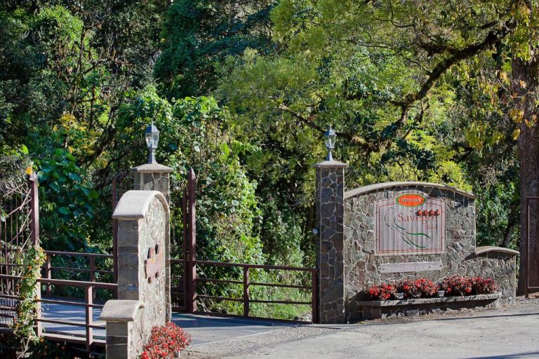 Entrada principal con portón de piedra y vegetación del Savegre Hotel Natural Reserve & Spa en Costa Rica