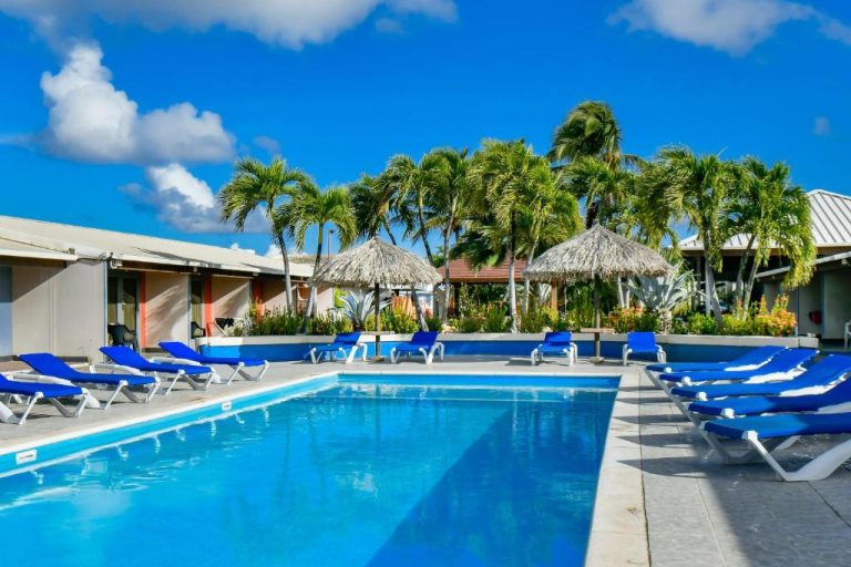 Piscina exterior con tumbonas azules y palmeras tropicales en Aruba Blue Village Hotel and Apartments