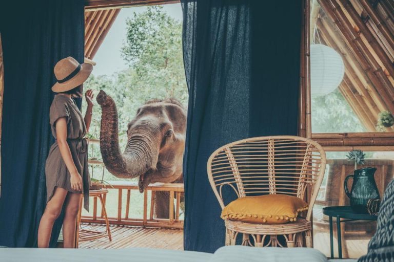 Huésped interactuando con elefante desde el bungalow de bambú en Chai Lai Orchid, Tailandia