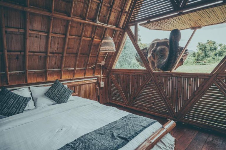 Habitación de bambú con cama doble y elefante asomado a la ventana en Chai Lai Orchid