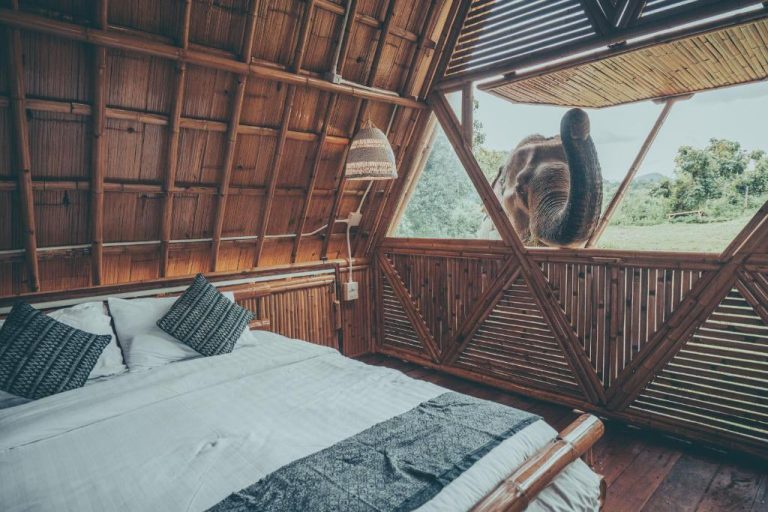 Habitación de bambú con cama doble y elefante asomado a la ventana en Chai Lai Orchid