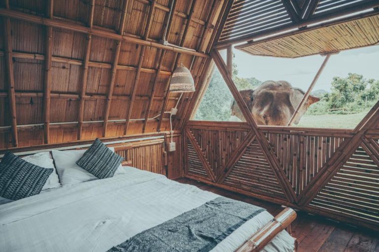 Habitación de bambú con cama doble y elefante asomado a la ventana en Chai Lai Orchid