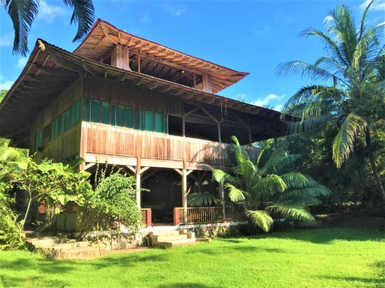 Cabaña tradicional de madera con jardín tropical en Ocean Forest Ecolodge rodeada de palmeras
