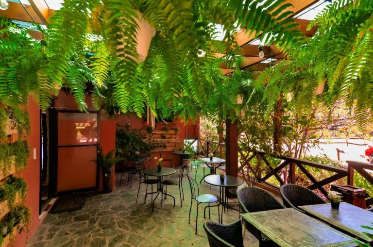 Terraza exterior con plantas tropicales y mesas del Hotel Rancho Constanza & Cabañas de la Montaña