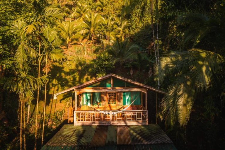 Cabaña de madera con hamaca y terraza rodeada de selva tropical en Ocean Forest Ecolodge