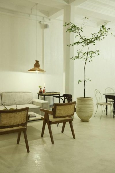 Salón interior con sillas de ratán y árbol en macetón del boutique hotel Maison Victoire en Pointe-à-Pitre