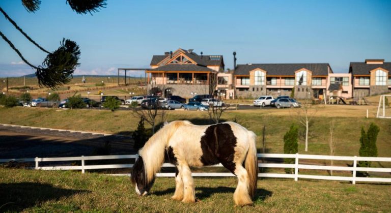 Pony pastando en los jardines exteriores del Cerro Azul Hotel Fazenda con vistas a las instalaciones