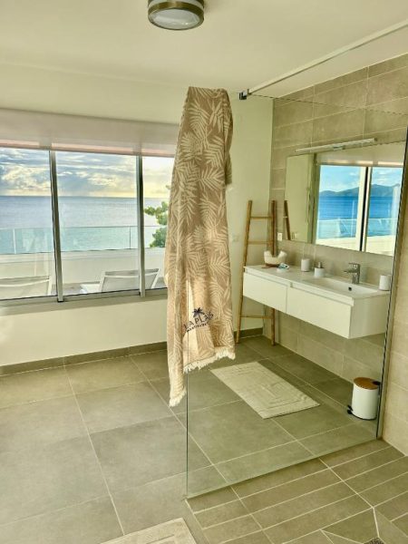 Baño moderno con ducha y vistas al mar Caribe en La Plage Martinique