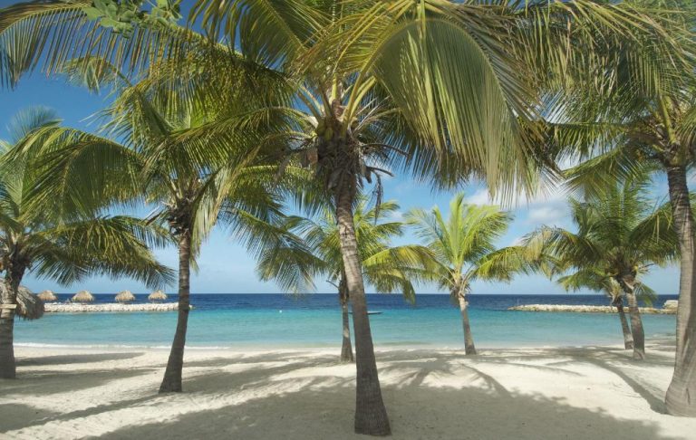 Playa de arena blanca con palmeras tropicales y aguas turquesas en Blue Bay Lodges Curazao