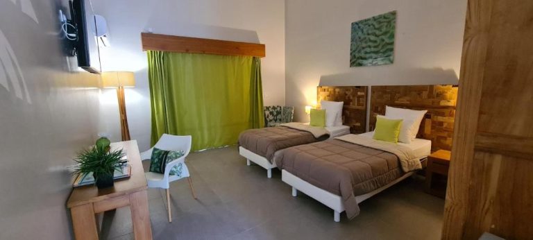 Habitación twin con dos camas y decoración en tonos verdes del Hôtel Le Soleil Levant