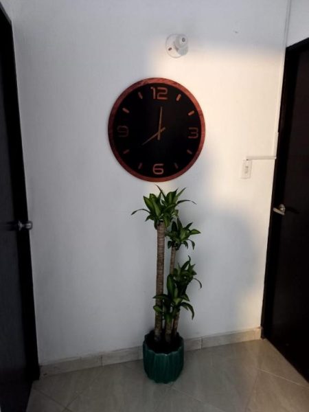 Pasillo decorado con reloj de pared y planta de bambú en Hotel Boutique San Pablo H10
