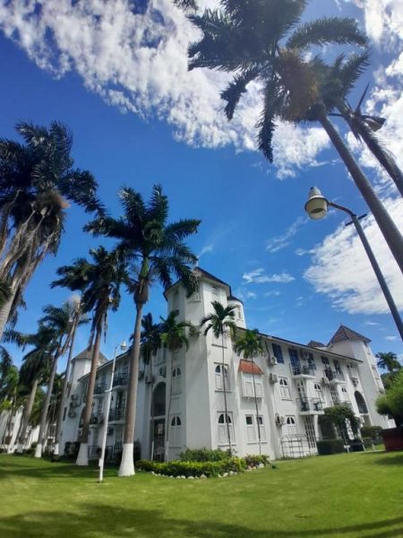 Fachada exterior del Beach Studio 9 rodeada de palmeras tropicales y jardines con césped bajo cielo azul