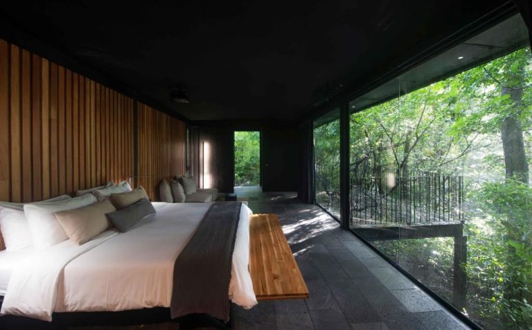 Habitación de lujo con pared de cristal y vistas al bosque tropical en Rio Perdido Hotel & Thermal River