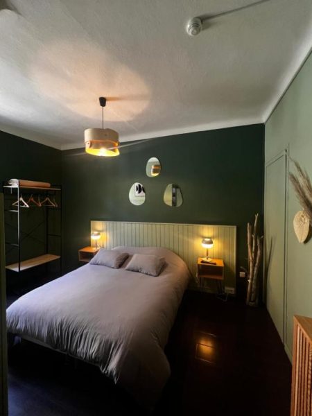Habitación doble con paredes verdes y decoración rústica moderna en el Hôtel Fleur des Alpes