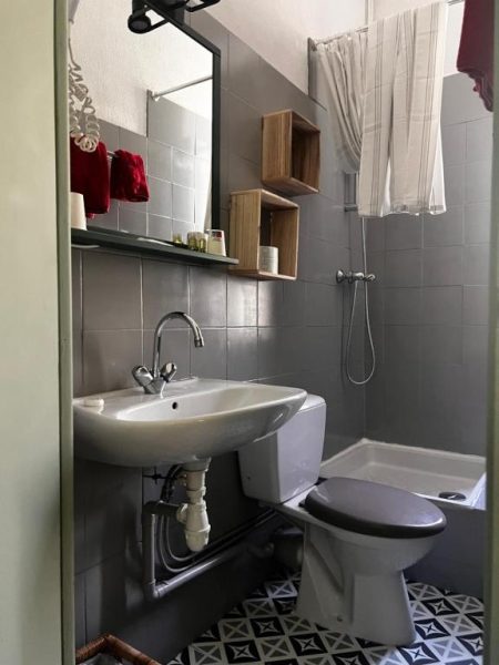 Baño completo con ducha, lavabo y aseo del Hôtel Fleur des Alpes con azulejos grises