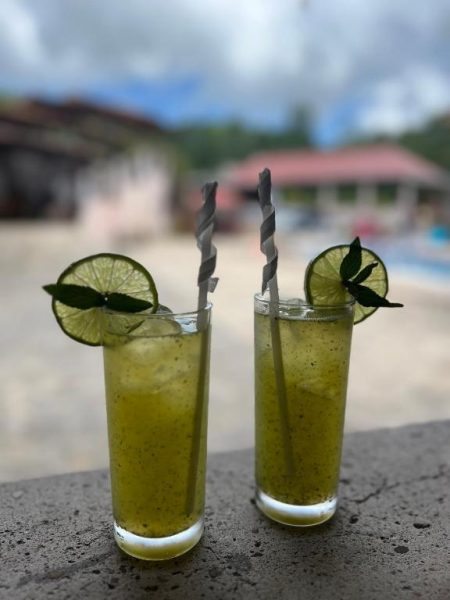 Dos cócteles mojito con lima y menta en la terraza del Hotel y Cabañas ROS