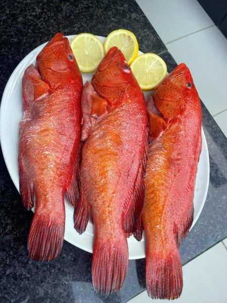 Tres pescados frescos de roca roja con limón en el restaurante del Beramar Hotel