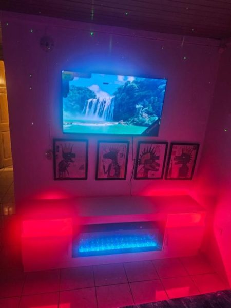 Salón moderno con iluminación LED rosa y azul, TV en pared y chimenea decorativa en Big Apple Hotel