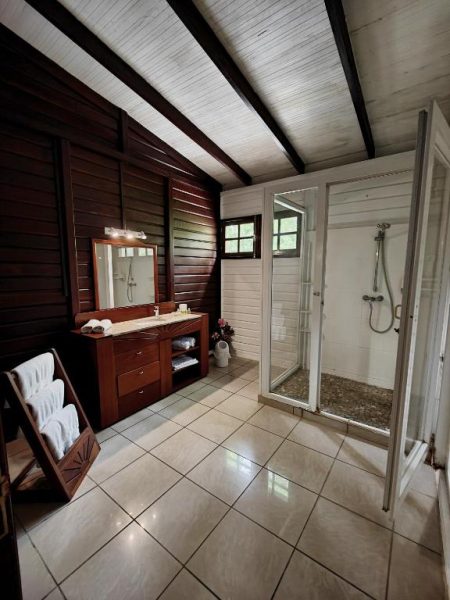 Baño amplio con ducha independiente y mueble de madera en Hôtel Le Soleil Levant