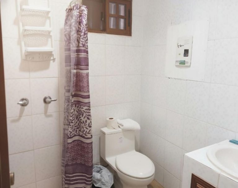 Baño completo con ducha, inodoro y lavabo del Apartotel Vera con cortina lila