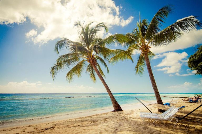 Playa privada con palmeras y hamaca del resort Sugar Bay Barbados All Inclusive con aguas turquesas