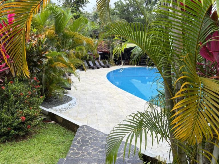 Piscina exterior rodeada de jardines tropicales y palmeras en Hotel Villas Rio Mar