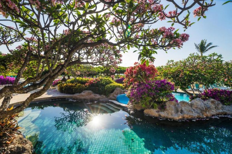 Piscina exterior rodeada de jardines tropicales con flores en el Grand Hyatt Bali