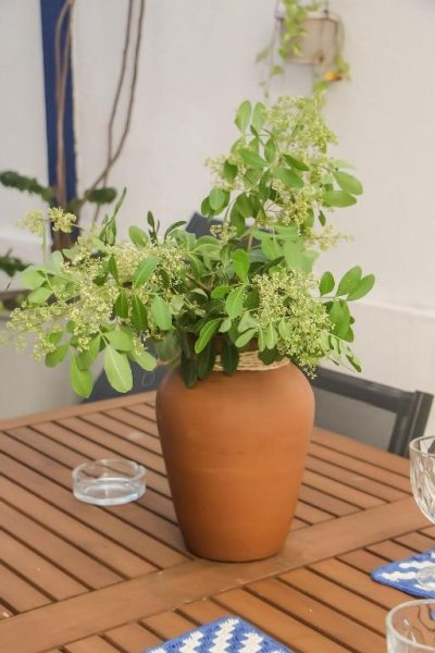 Jardinera de cerámica con plantas verdes en la terraza exterior de Pousada Maria Maria