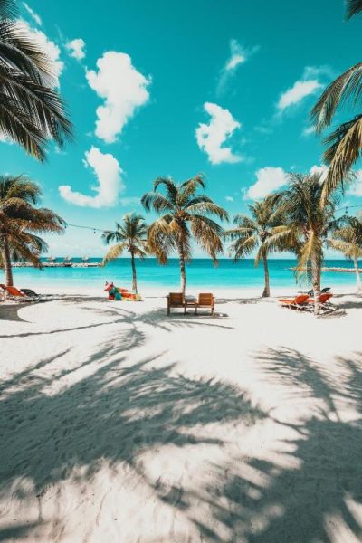 Playa de arena blanca con palmeras y tumbonas del The Ivy Blue Bay Curaçao Golf & Beach Resort