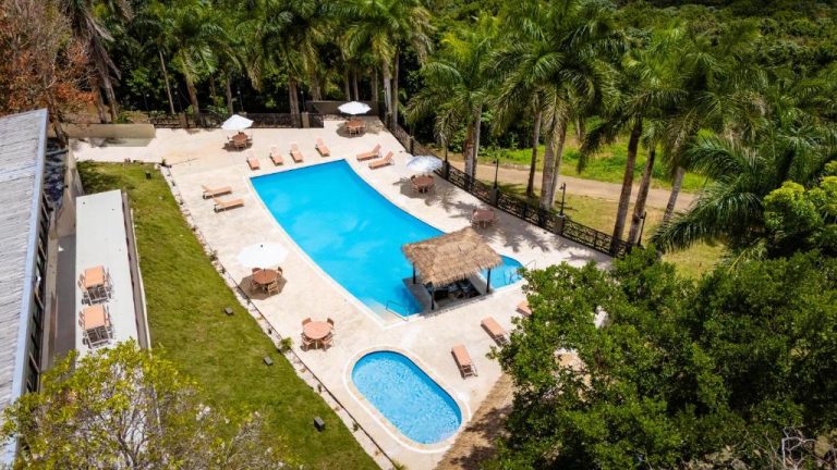 Vista aérea de la piscina exterior con bar tiki y tumbonas del Hotel Vista Alegre rodeada de palmeras