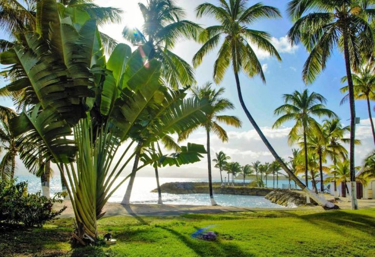 Jardines tropicales con palmeras y vista al mar turquesa del Hotel Fleur d'Epée en Guadalupe