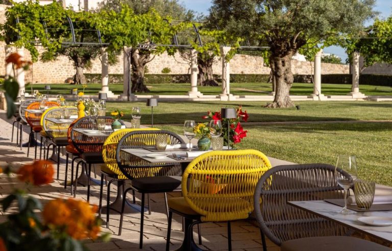 Terraza exterior con sillas de colores y mesas del Palace Natali rodeada de jardín y olivos