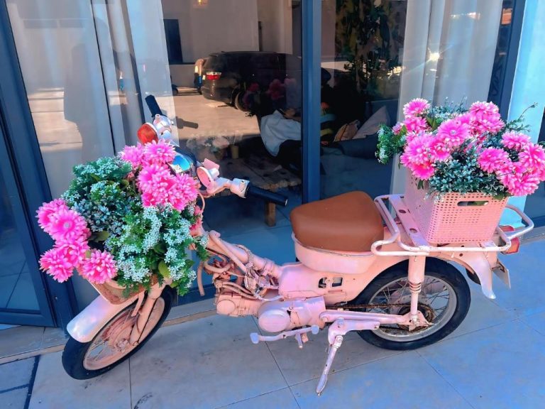 Moto vintage rosa decorada con flores rosas en la entrada del Aruba Beach Hotel Punta Cana