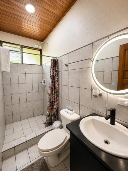 Baño moderno con ducha abierta, inodoro y lavabo en Hotel Villas de la Colina